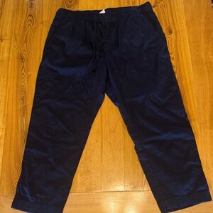 Gap Navy Drawstring Casual Pants